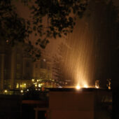  Sproing Pics (103/133)